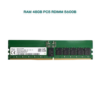 RAM 48GB Registered ECC RDIMM DDR5 5600 Mixed